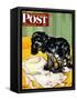 "Muddy Paw Prints," Saturday Evening Post Cover, December 6, 1947-Albert Staehle-Framed Stretched Canvas