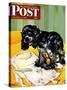 "Muddy Paw Prints," Saturday Evening Post Cover, December 6, 1947-Albert Staehle-Stretched Canvas