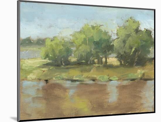 Muddy River II-Ethan Harper-Mounted Art Print