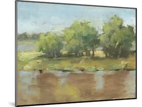 Muddy River II-Ethan Harper-Mounted Art Print