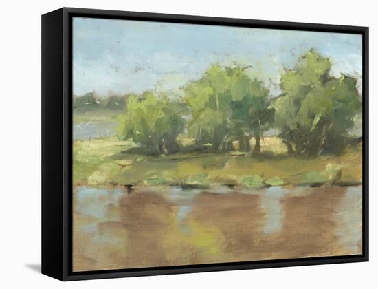 Muddy River II-Ethan Harper-Framed Stretched Canvas