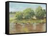 Muddy River II-Ethan Harper-Framed Stretched Canvas