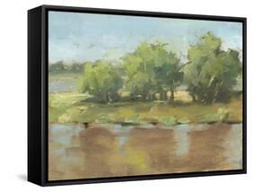 Muddy River II-Ethan Harper-Framed Stretched Canvas