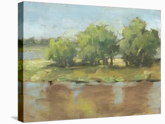 Muddy River II-Ethan Harper-Stretched Canvas