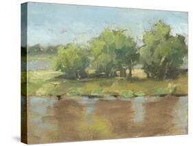 Muddy River II-Ethan Harper-Stretched Canvas