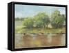 Muddy River II-Ethan Harper-Framed Stretched Canvas