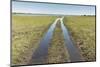 Muddy Safari Track, Botswana-Paul Souders-Mounted Photographic Print