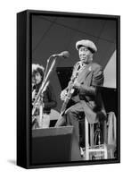 Muddy Waters, American Blues Musician, Capital Jazz, 1979-Brian O'Connor-Framed Stretched Canvas