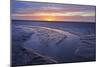Mudflats at Dawn, Sandyhills Bay, Solway Firth, Dumfries and Galloway, Scotland, UK, March-Mark Hamblin-Mounted Photographic Print