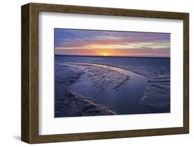 Mudflats at Dawn, Sandyhills Bay, Solway Firth, Dumfries and Galloway, Scotland, UK, March-Mark Hamblin-Framed Photographic Print