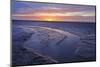 Mudflats at Dawn, Sandyhills Bay, Solway Firth, Dumfries and Galloway, Scotland, UK, March-Mark Hamblin-Mounted Photographic Print