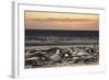 Mudflats at Sunset, the Wash Estuary, Norfolk, England, UK, September 2011. 2020Vision Book Plate-Peter Cairns-Framed Photographic Print