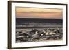 Mudflats at Sunset, the Wash Estuary, Norfolk, England, UK, September 2011. 2020Vision Book Plate-Peter Cairns-Framed Photographic Print