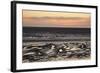 Mudflats at Sunset, the Wash Estuary, Norfolk, England, UK, September 2011. 2020Vision Book Plate-Peter Cairns-Framed Photographic Print