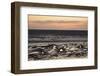 Mudflats at Sunset, the Wash Estuary, Norfolk, England, UK, September 2011. 2020Vision Book Plate-Peter Cairns-Framed Photographic Print