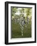 Mudmen from Asaro Parade as Ancestral Spirits, Papua New Guinea-Mrs Holdsworth-Framed Photographic Print