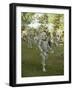 Mudmen from Asaro Parade as Ancestral Spirits, Papua New Guinea-Mrs Holdsworth-Framed Photographic Print