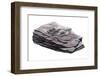 Mudstone Containing Fossils-null-Framed Photographic Print