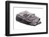 Mudstone Containing Fossils-null-Framed Photographic Print