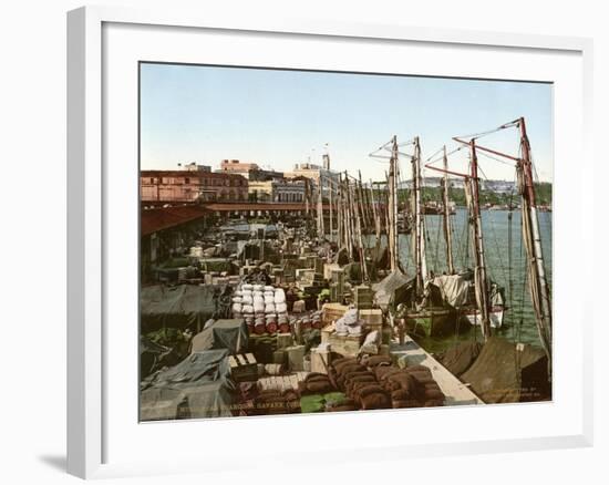 Muelle San Francisco, Havana, Cuba, 1904-null-Framed Giclee Print