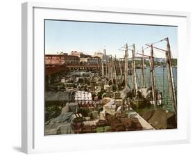 Muelle San Francisco, Havana, Cuba, 1904-null-Framed Giclee Print