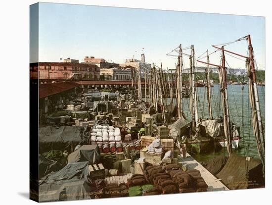 Muelle San Francisco, Havana, Cuba, 1904-null-Stretched Canvas