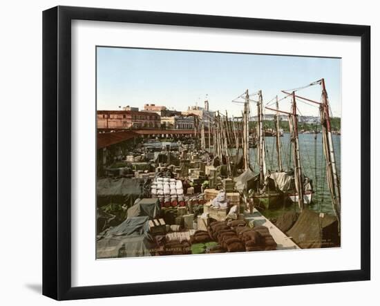 Muelle San Francisco, Havana, Cuba, 1904-null-Framed Giclee Print