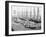 Muelle Tallapiedras, Havana, c.1904-American Photographer-Framed Photographic Print