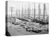 Muelle Tallapiedras, Havana, c.1904-American Photographer-Stretched Canvas