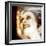 Muerte (Death) Remix-Gideon Ansell-Framed Photographic Print