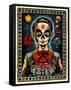 Muerto-Nicholas Ivins-Framed Stretched Canvas