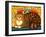 Muffin, the Covent Garden Cat, 1996-Frances Broomfield-Framed Giclee Print