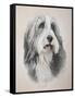 Muffin-Janet Pidoux-Framed Stretched Canvas