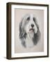 Muffin-Janet Pidoux-Framed Giclee Print