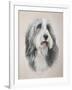 Muffin-Janet Pidoux-Framed Giclee Print