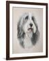 Muffin-Janet Pidoux-Framed Giclee Print