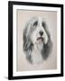 Muffin-Janet Pidoux-Framed Giclee Print