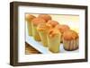 Muffins 3-highviews-Framed Photographic Print