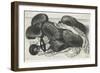 Muffs and Articles of Clothing on a Table, 1647-Wenceslaus Hollar-Framed Giclee Print