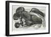 Muffs and Articles of Clothing on a Table, 1647-Wenceslaus Hollar-Framed Giclee Print