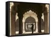 Mughal Architecture, Delhi, India, Asia-Balan Madhavan-Framed Stretched Canvas