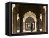 Mughal Architecture, Delhi, India, Asia-Balan Madhavan-Framed Stretched Canvas