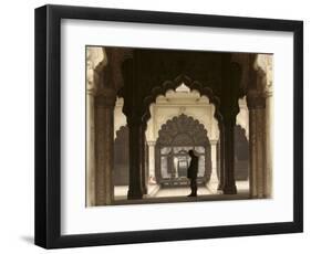 Mughal Architecture, Delhi, India, Asia-Balan Madhavan-Framed Photographic Print