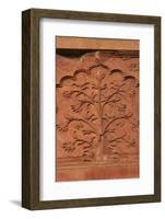 Mughal Architecture, Delhi, India, Asia-Balan Madhavan-Framed Photographic Print