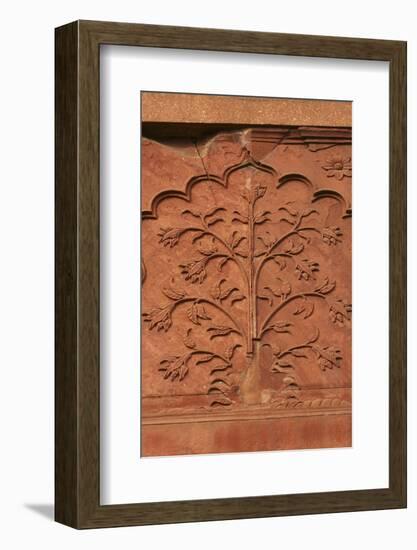 Mughal Architecture, Delhi, India, Asia-Balan Madhavan-Framed Photographic Print