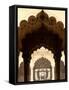 Mughal Architecture, Delhi, India-Balan Madhavan-Framed Stretched Canvas