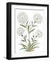 Mughal Collection III-Kristine Hegre-Framed Giclee Print