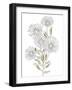 Mughal Collection V-Kristine Hegre-Framed Giclee Print