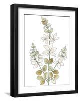 Mughal Collection VI-Kristine Hegre-Framed Giclee Print