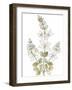 Mughal Collection VI-Kristine Hegre-Framed Giclee Print